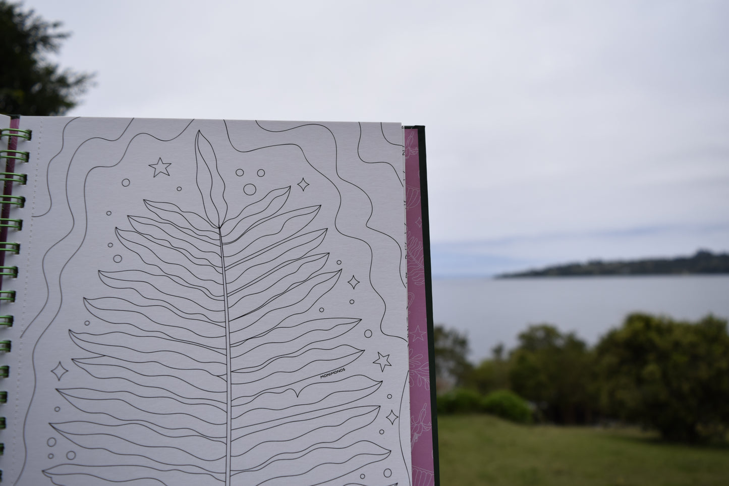 Libro para colorear - Entre Ríos y Humedales