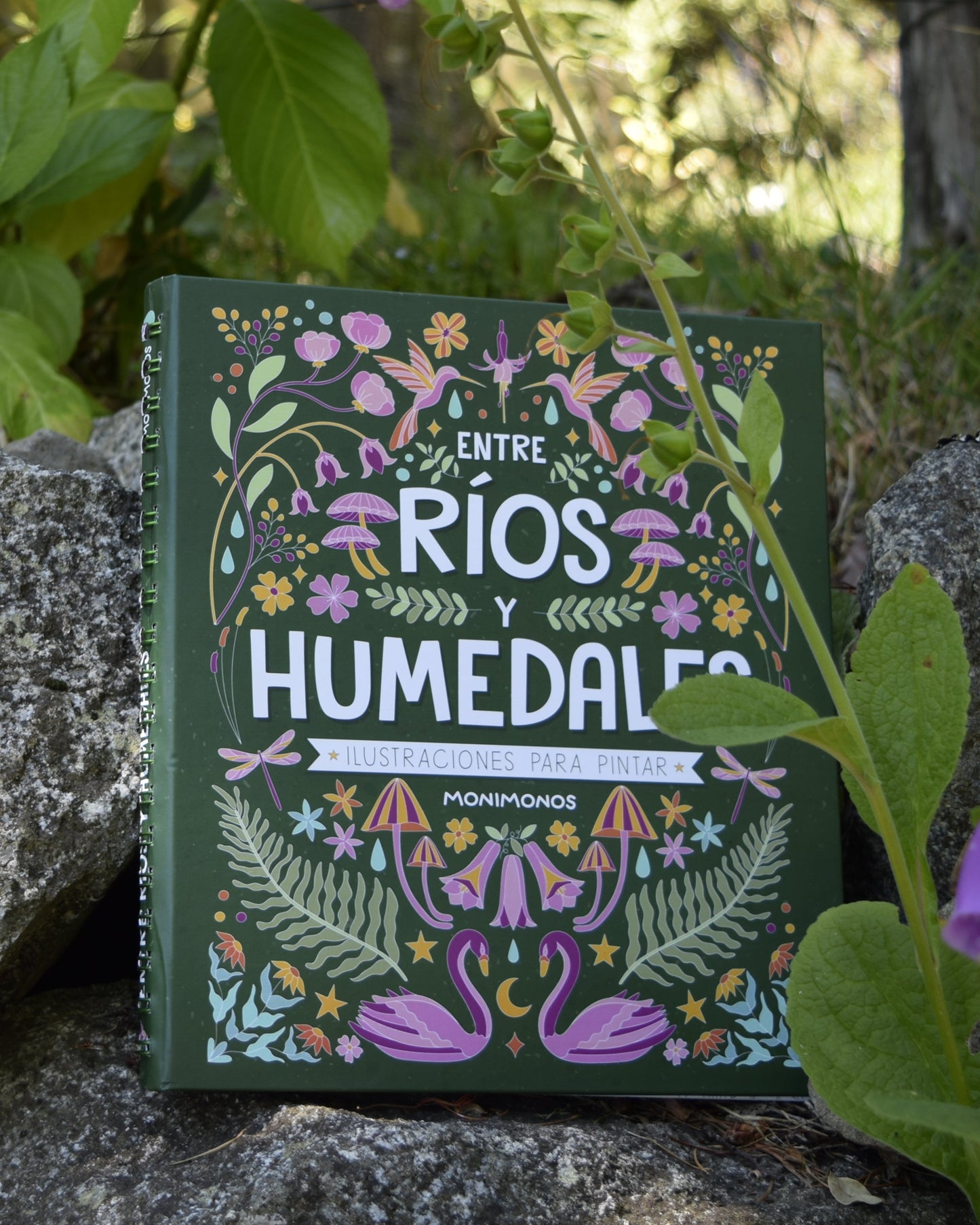 Libro para colorear - Entre Ríos y Humedales