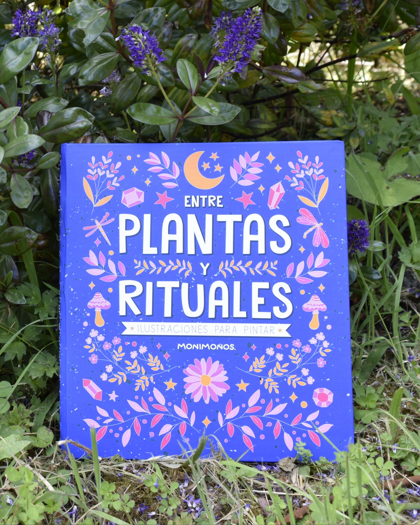 Libro para colorear - Entre Plantas y Rituales